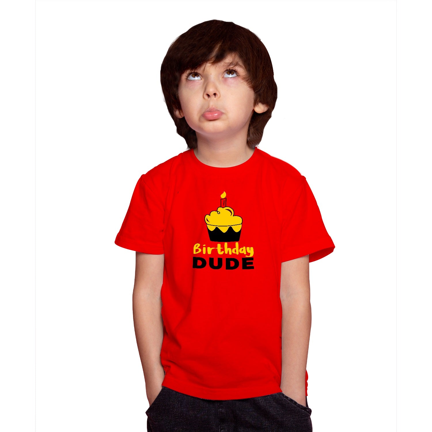 the birthday dude shirt